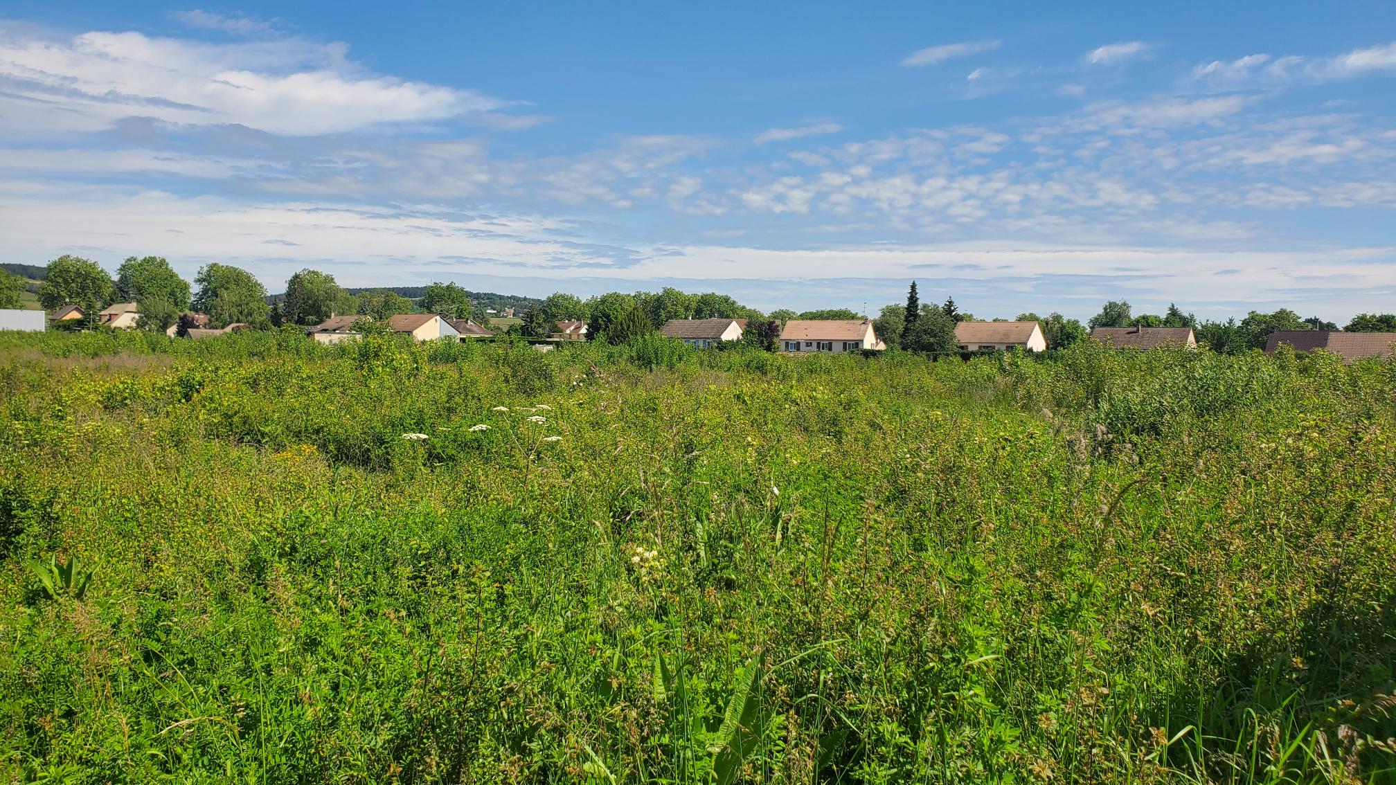 Terrain à Beaune