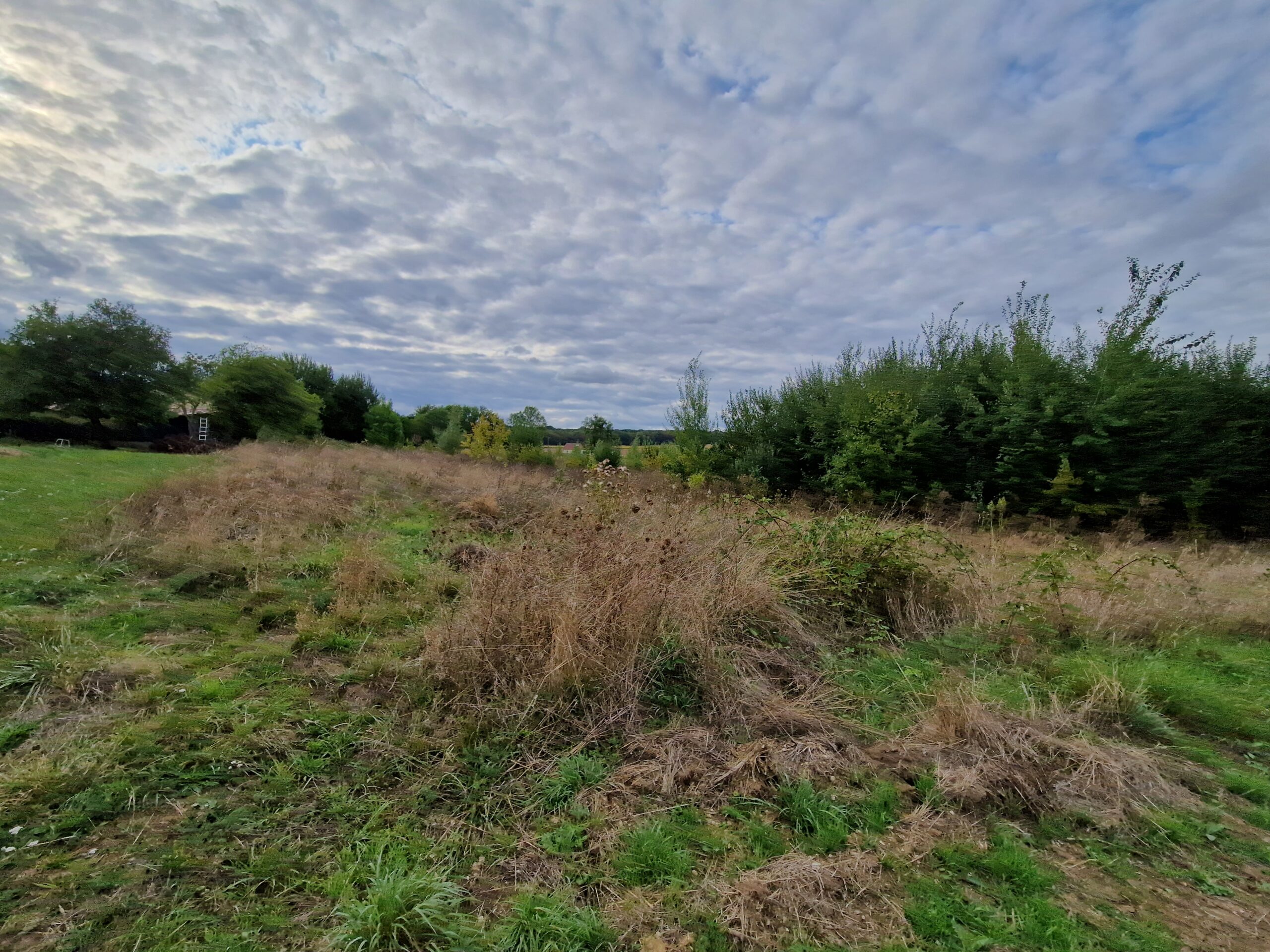 Terrain à Chambeire