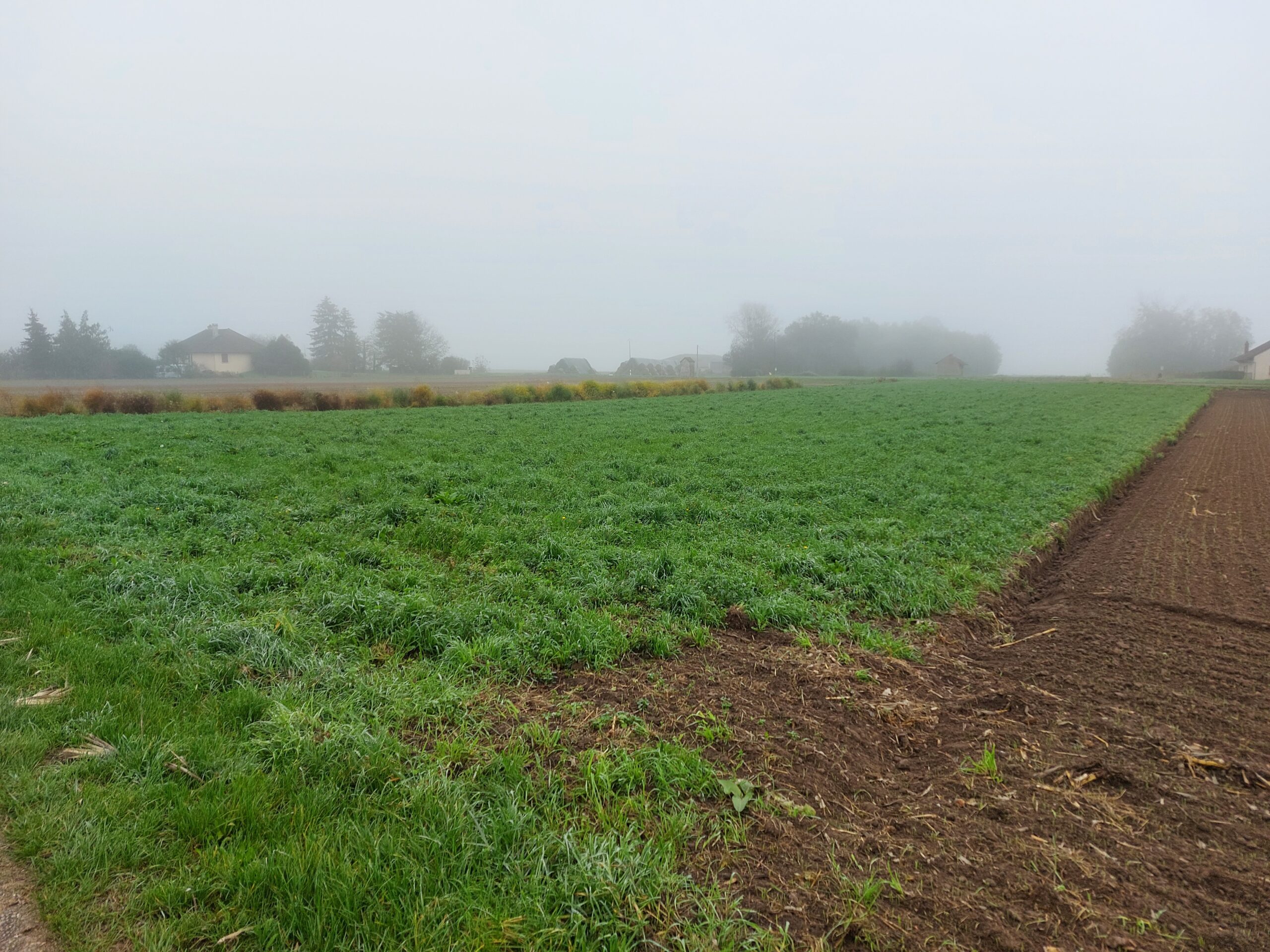 Terrain à Charnay-lès-Chalon
