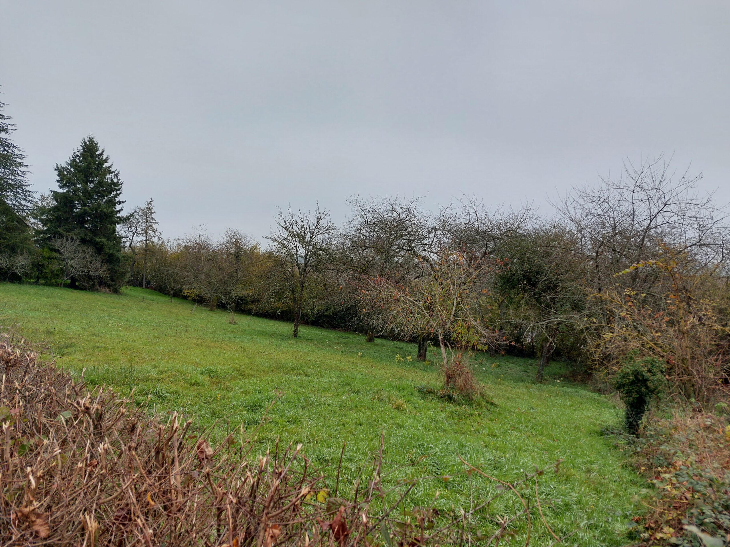 Terrain à Breuil