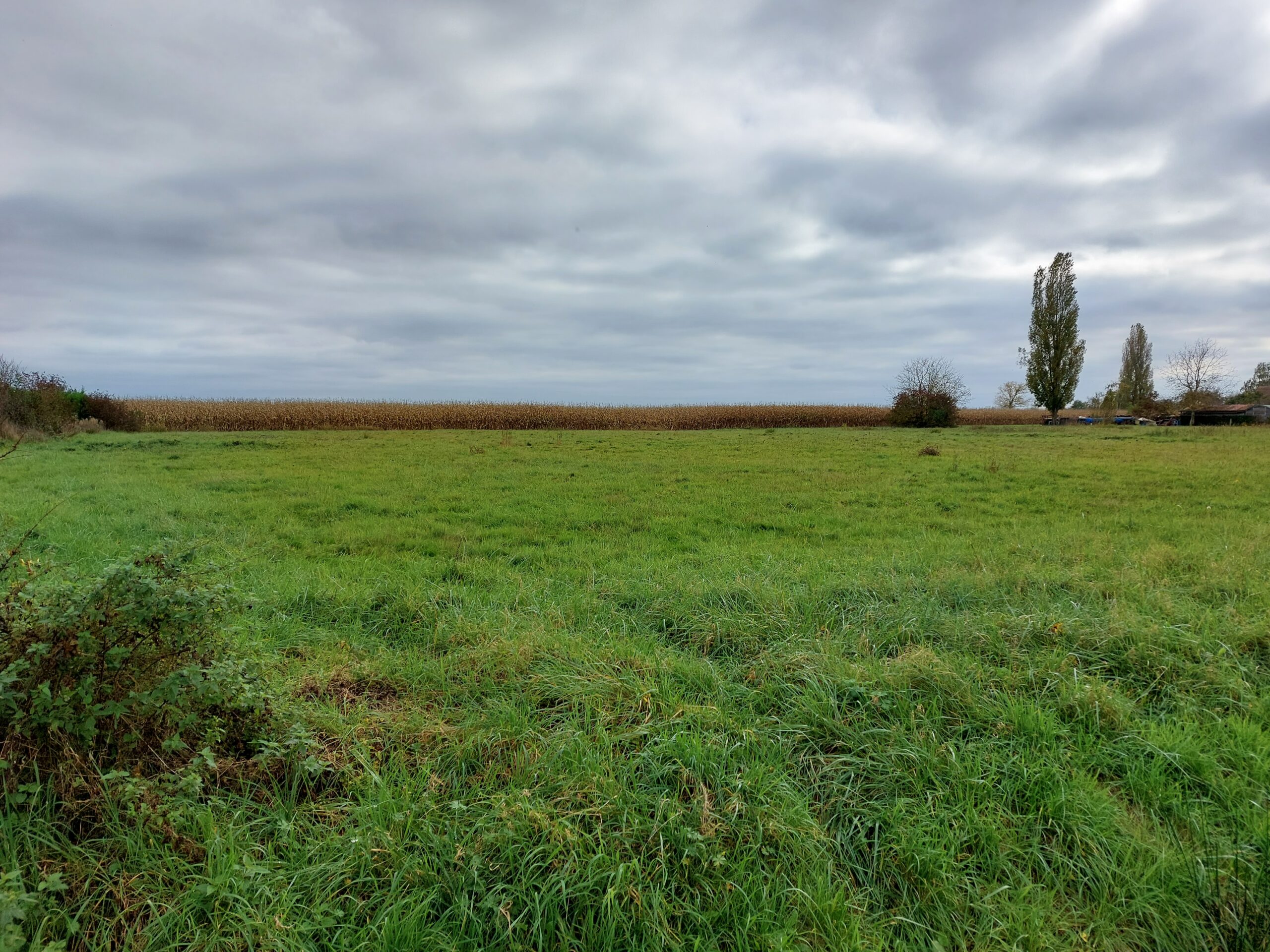 Terrain à Châtenoy-le-Royal