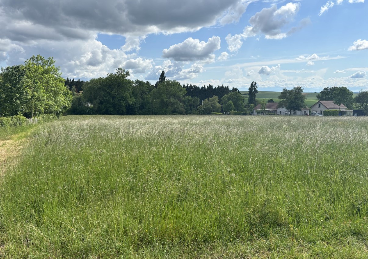 Terrain à Appoigny