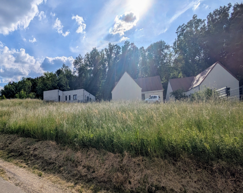 Terrain à Appoigny