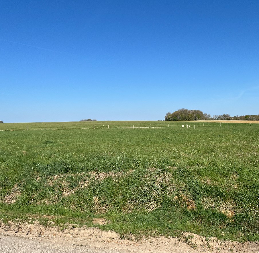 Terrain à Domats