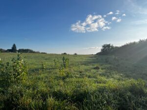 Terrain à Marcilly-lès-Buxy