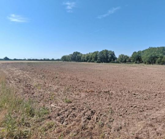 Terrain à Chemilly-sur-Yonne