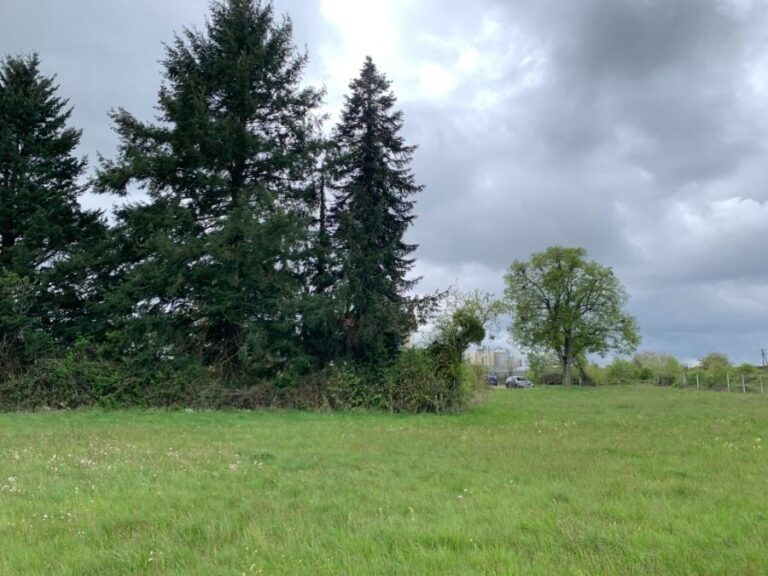 216891-TerrainRoche-en-Brenil