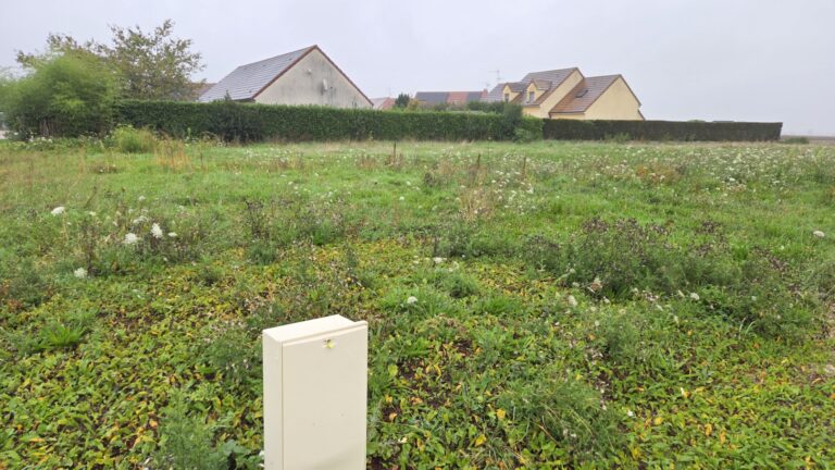 222343-TerrainVirey-le-Grand