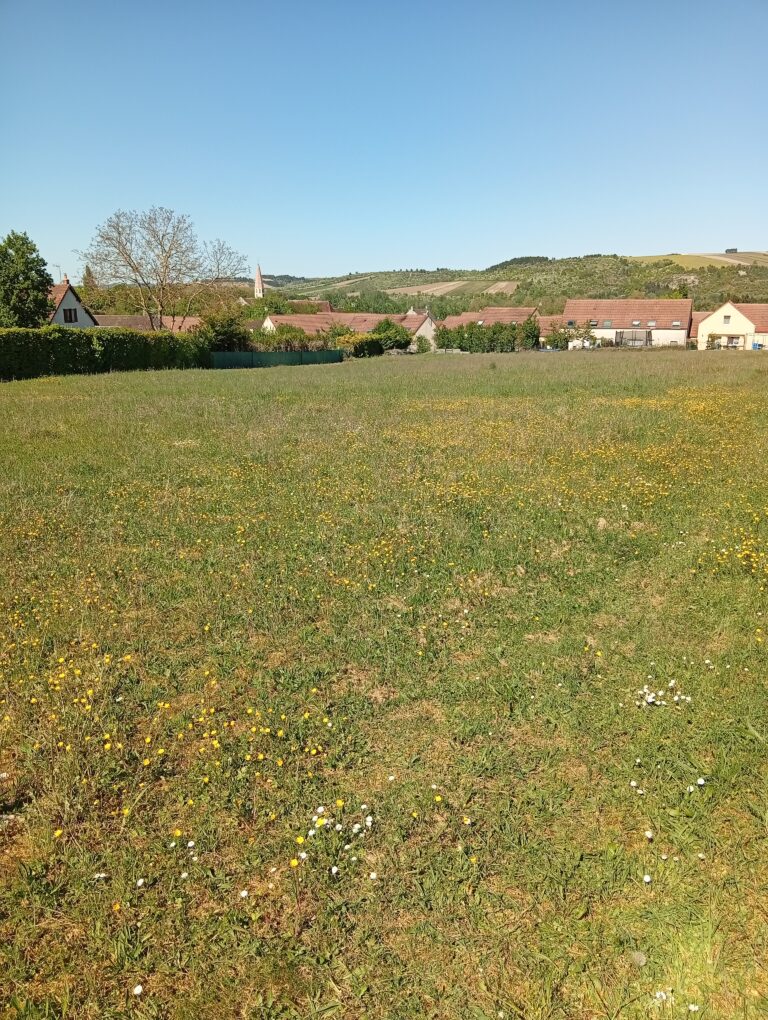 223549-TerrainEscolives-Sainte-Camille