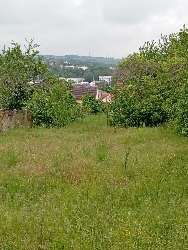 226225-TerrainAuxerre