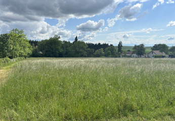 Terrain à Quenne