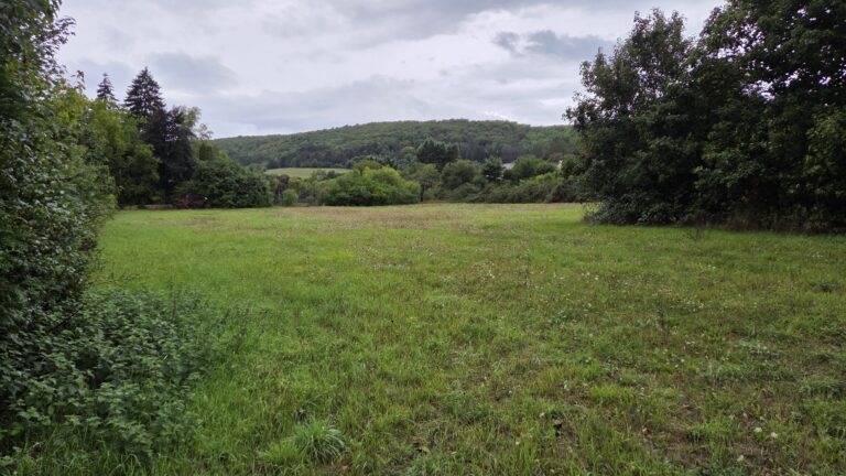227413-TerrainGissey-sur-Ouche