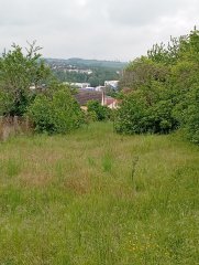 230472-TerrainAuxerre