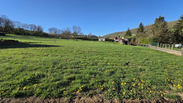 231468-TerrainBlaisy-Bas