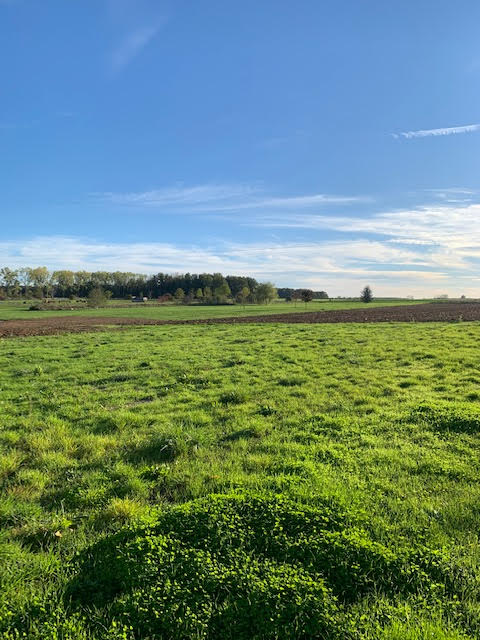 Terrain à Chevigny-en-Valière