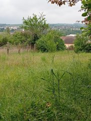 232888-TerrainAuxerre